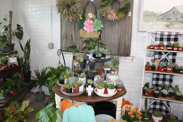 A circular center display of small succulents, cacti, and floral wreaths.
