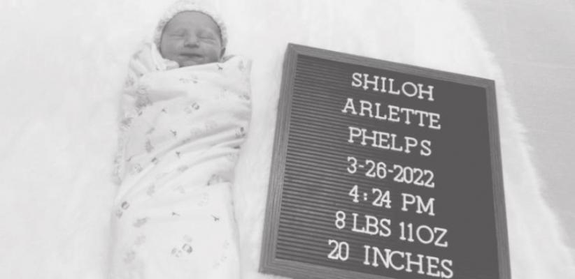 Shiloh Arlette Phelps