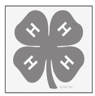 Alt Text for Image