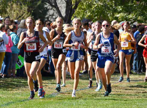 Bobcats Take on Class D State