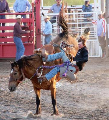 Callaway cowboy