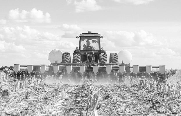Nebraska Corn Farmers Poised to Plant 10.6 Million Acres in 2025