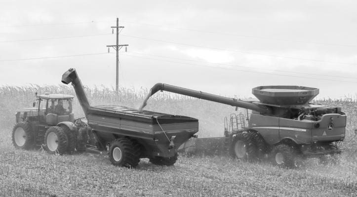How Much Nitrogen is Left in Your Fields?