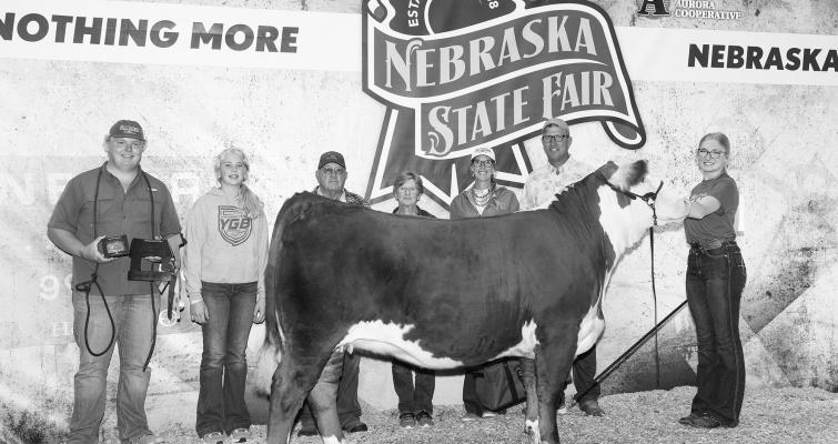 The Nebraska State Fair kicked off on Saturday, Aug. 25, and a local champion has already been crowned. Abby Stallbaumer won the Senior Showmanship title at the NSF 4-H beef show during opening weekend competition. (Photo courtesy Marla Stallbaumer)