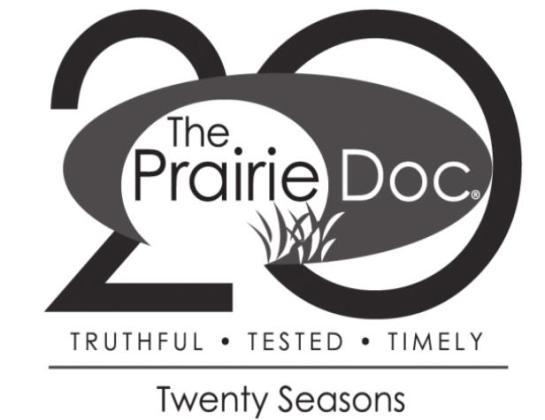 The Student Doctor; a Complement to Patient Care