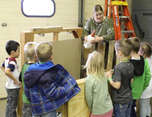 The Callaway preschool class was given an up-close and personal look and two new calves last week by Ag Instructor Amanda Chytka. The children also learned how and what the babies eat and how they are cared for. (Courier Photos by Ellen Mortensen)