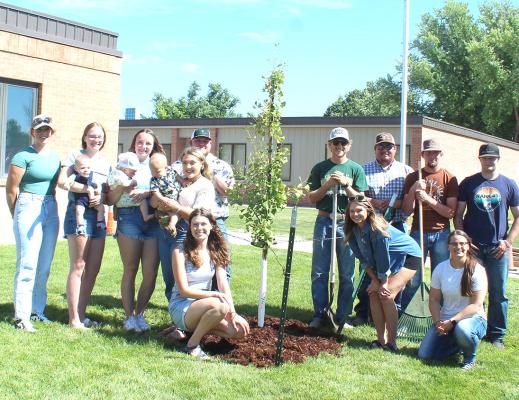 Five-Year Reunion Includes Tree Planting