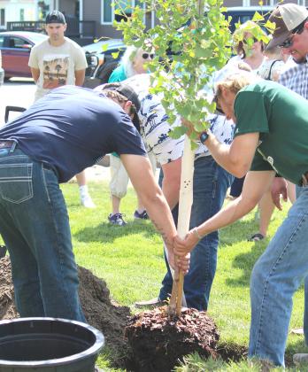 Five-Year Reunion Includes Tree Planting