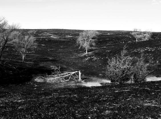 Grass Fire Burns More Than 70,000 Acres