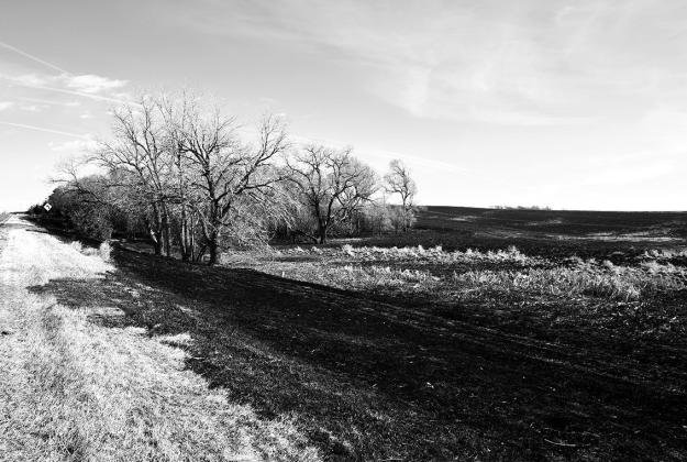 Grass Fire Burns More Than 70,000 Acres